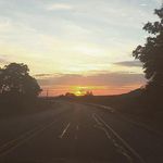 @alanmeehan7 - Instagram