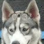 Alan Meek - @alan_john_81 - Instagram