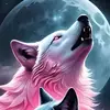 Alan Mellor - @alan.mellor2 - TikTok
