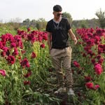 Alan Mera - @alan_mera_27 - Instagram