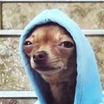 alan meraz - @irmamerz08 - Instagram
