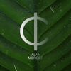 alanmercermusic - @alanmercermusic - TikTok