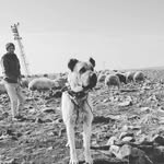 ALAN_MEYDANCıLARI - @tr_meydancilari82 - Instagram