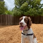Alan Meyer - @alanmeyer382 - Instagram