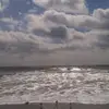Alan Meyer - @alan.meyer55 - TikTok