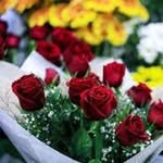 Alanson Pedro - @alan_meyer_78 - Instagram