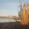Alan Meyer - @alan.meyer - TikTok