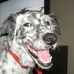 Allan Meyerowitz - Facebook