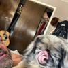 alanmeyers258 - @alanmeyers258 - TikTok