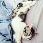 奶米 - @alan98_miao - Instagram