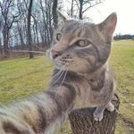 Alan Miao - @alan.miao.96 - Instagram