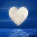 Alan Michon - Facebook