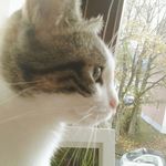 @alan_mick_2101 - Instagram