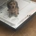 Mark Alan Midkiff - Facebook