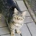 Alan Migdal - Facebook