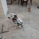 Alan Milby - @alan.milby - Instagram