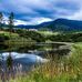 Alan Millard - Facebook