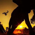 Alan Millard - @amillard8848 - Instagram
