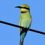 Alan Millard - @photographywip - Instagram