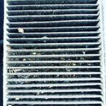 Alan Stephen Millard - @alanmillard404 - Instagram