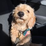 Alan Milligan - @milligan451 - Instagram