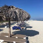Alan Milligan - @alanmilligan9 - Instagram
