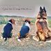 Allan Milligan - Facebook