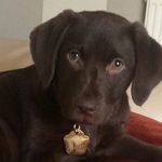 Alan Milliken - @alanmilliken63 - Instagram