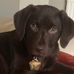 Alan Milliken - Facebook