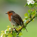 Alan - @alan.millington.nt - Instagram