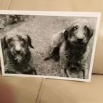 Alan Millward - @alan.millward.921 - Instagram