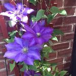 Alan Patricia Millward - @alan.millward.733 - Instagram