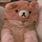 @alanmilo_heo - Instagram