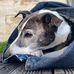 Alan Milroy - Facebook