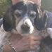 Allan Milstein - Facebook