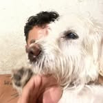 ALI - @alanminervino - Instagram