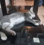 Alan Miranda - Facebook