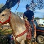 Alan Mireles - @alan_ernesto1 - Instagram