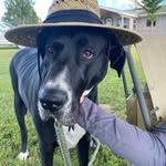 Alan Mitchum - @cool_temp - Instagram