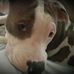 Alan Mitzel - Facebook