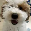 alanmize285 - @alanmize285 - TikTok