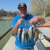 Alan Mobley - @alan.mobley - TikTok