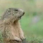 Alan Moffat - @alanmoffat77 - Instagram