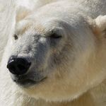 Alan Moffatt - @alan.moffatt.79 - Instagram