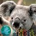 Alan Moffatt - Facebook
