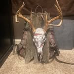 Alan Moffitt - @alanmoffitt - Instagram