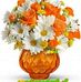 Alan Mohan - Facebook
