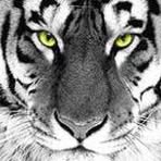 Alan Moldenhauer - Facebook