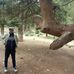 Moloud Alan - Facebook
