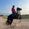 Alan - @alanmoncada16 - TikTok